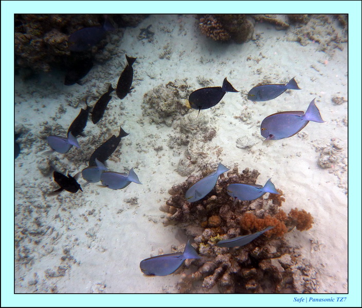 2009   07   Matakin 58